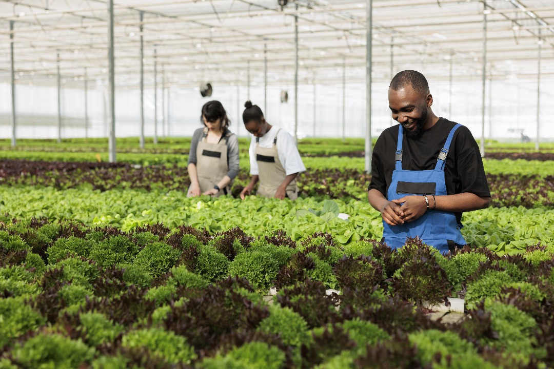 Illustration d'agriculture moderne